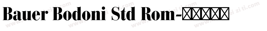 Bauer Bodoni Std Rom字体转换